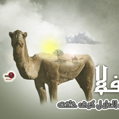 سفينه الصحراء