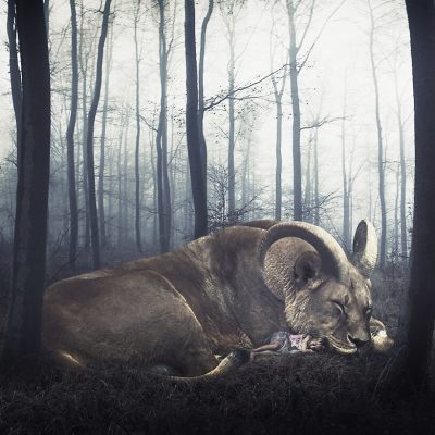 Manipulation