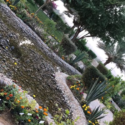 بدون عنوان