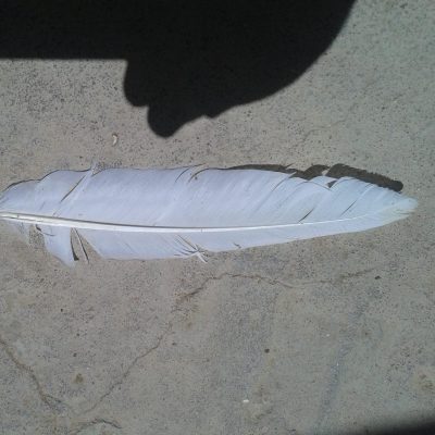 بدون عنوان